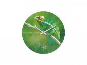 Часы настенные Nicole Time NT503 в Набережном - naberezhnoe.mebel-nsk.ru | фото